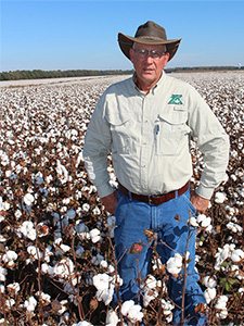 Stan Winslow Cotton Consultant