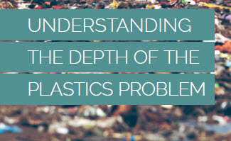 Understanding the Depth of the Plastic Problem