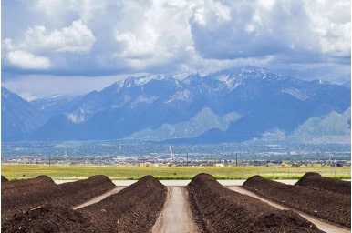 Hands holding organic soil