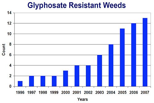 Monsanto