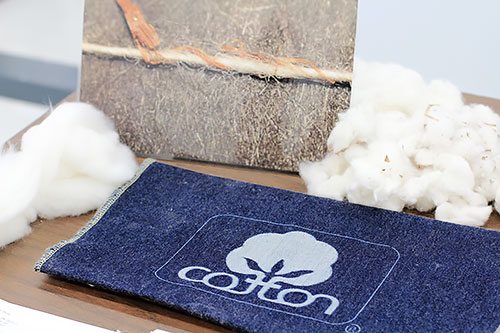 Cotton Incorporated's Technical Services and Implementation