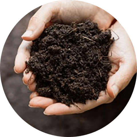 Hands holding organic soil